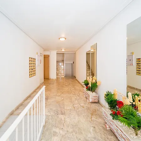 Apartamento Alegria Id64 Torrevieja